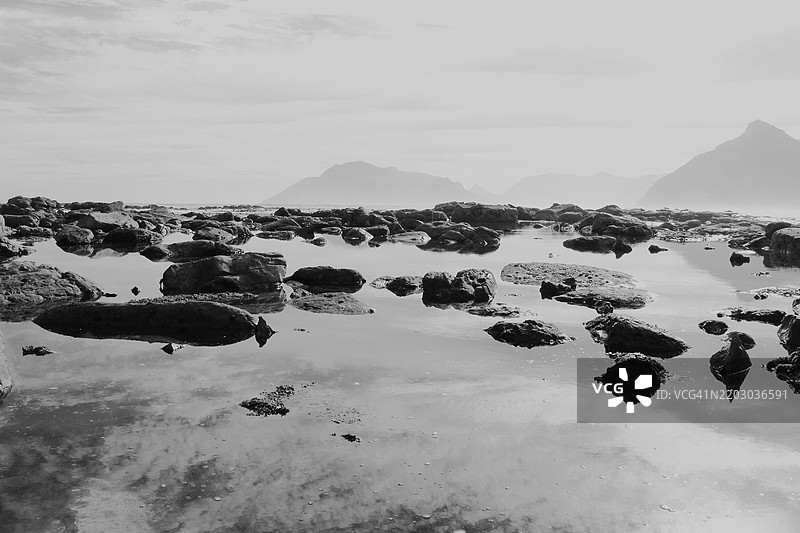 黑白色的低潮岩池图片素材