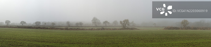 冬季雾中的秋季播种田野与树木图片素材