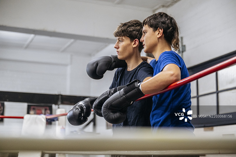 年轻男性训练伙伴在擂台上观看活动图片素材