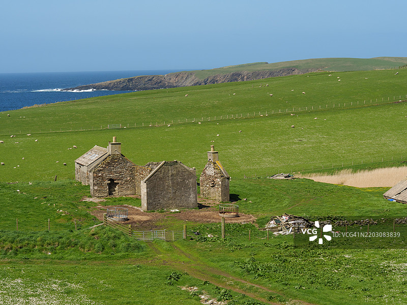 清澈天空下的田野美景，勒威克，设得兰，英国，英国图片素材