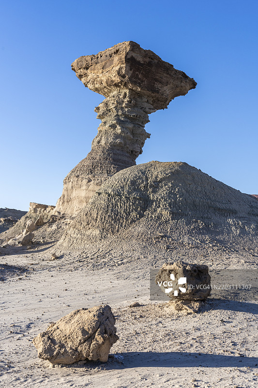 蘑菇,伊斯基瓜拉斯托省立公园,圣奥古斯丁村,圣胡安省,阿根廷,南美洲图片素材