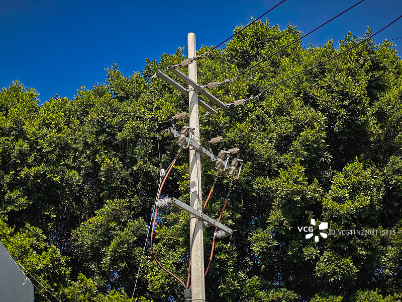 生活中最愉快的事情之一就是看阳光透过树叶 - 马里奥·贝内德蒂图片素材