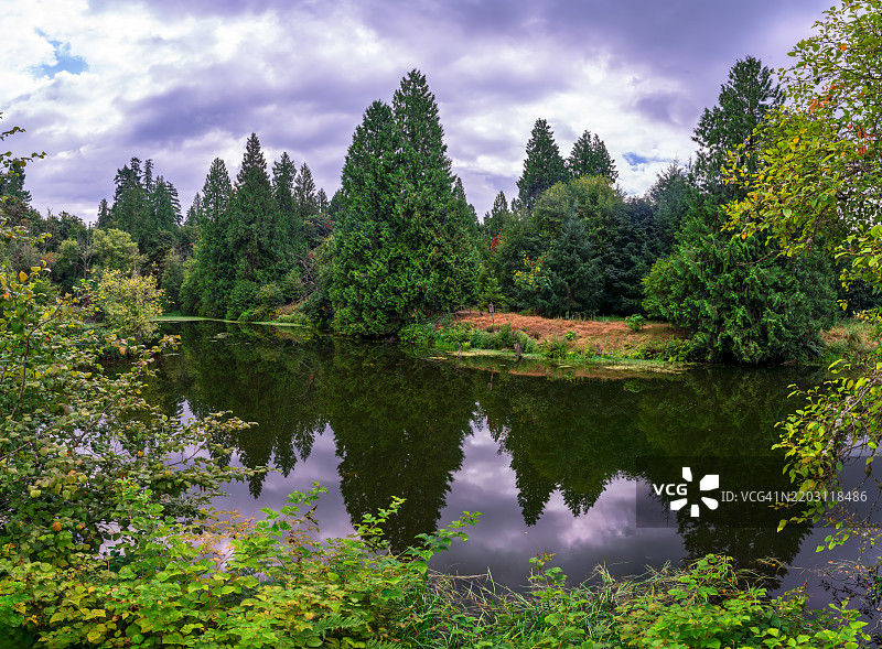 华盛顿州卡马斯的湖泊美景与天空相映图片素材