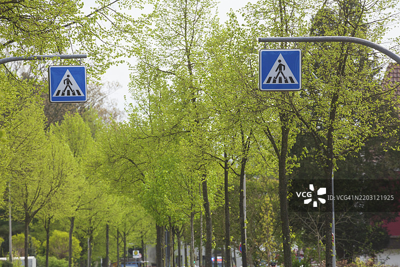 春季德国下萨克森州德尔门霍斯特街道上的行人过街标志，斑马线图片素材