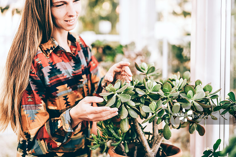 女性在时尚的室内花园中照顾多肉植物图片素材