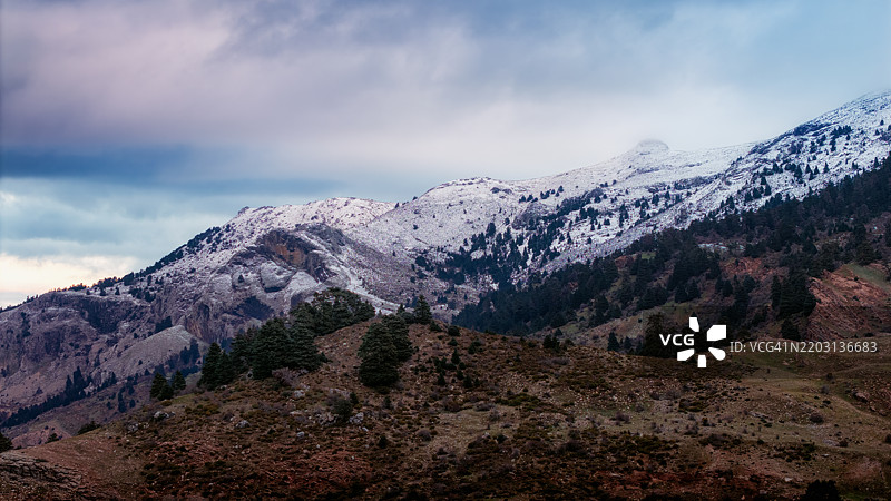 西耶拉·德·拉斯·涅韦斯国家公园的标志性景象，雪峰与西班牙冷杉相映成趣。图片素材