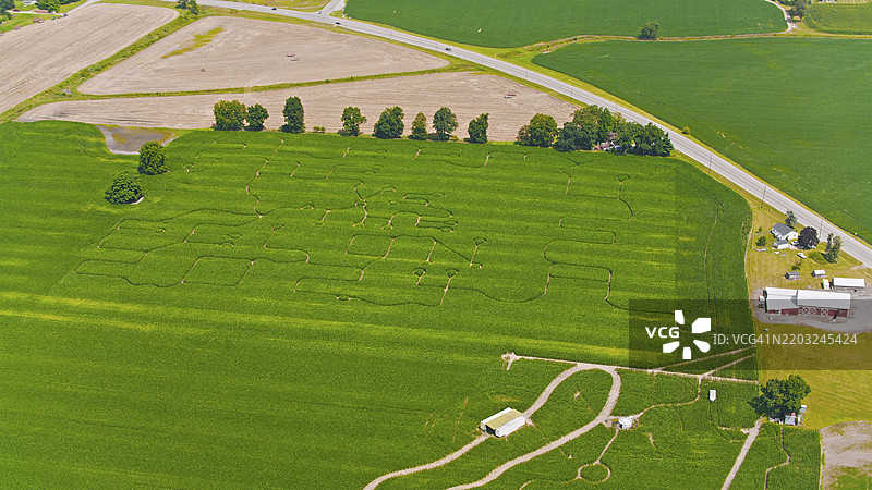 郁郁葱葱的农业田野中的迷宫鸟瞰图图片素材