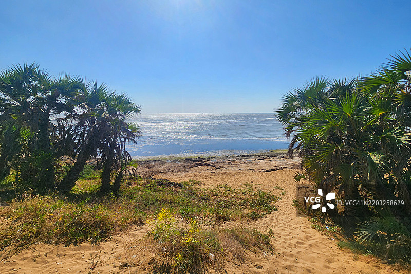 阿拉伯海的迪乌海滩图片素材