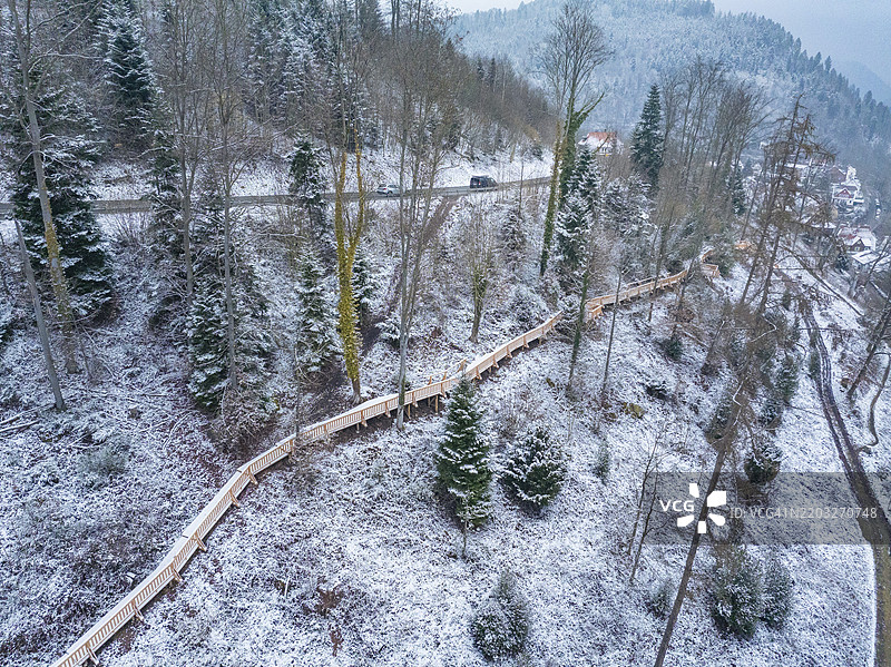 被雪覆盖的森林树木，木栈道和经过的汽车，卡尔夫市花园中的新木桥，卡尔夫，黑森林，德国，欧洲图片素材