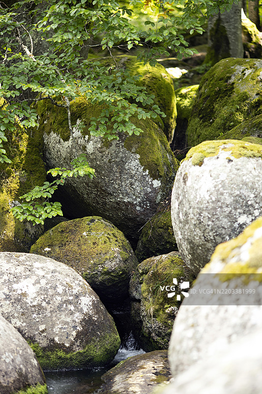 在广阔的保加利亚森林中，清澈的水流在大石头之间蜿蜒而过，水源宁静而舒缓。图片素材