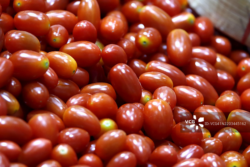 小红樱桃番茄图片素材