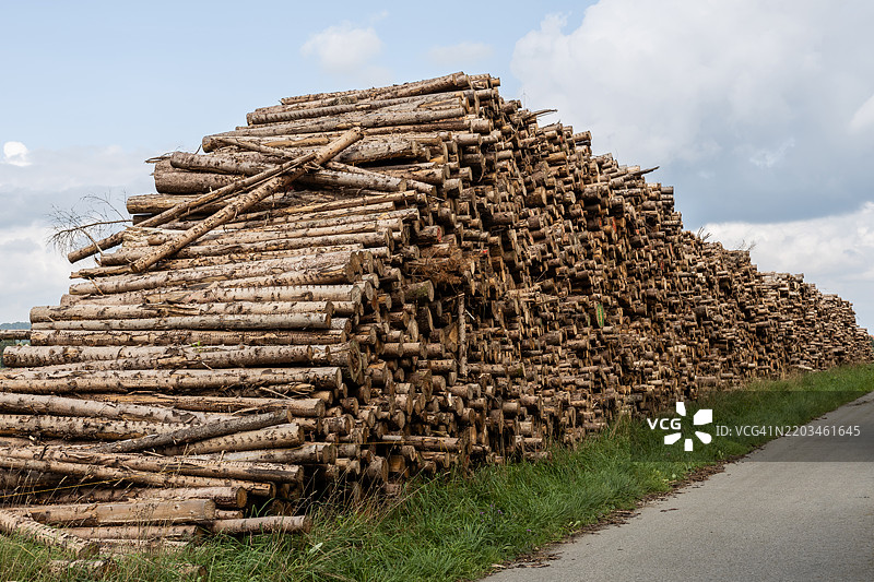 一堆准备运输到锯木厂的树干图片素材