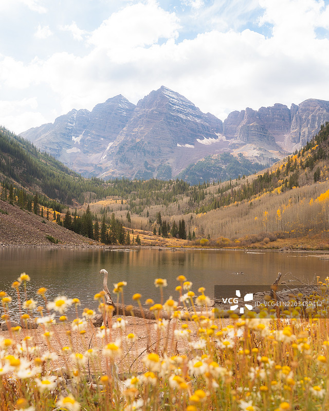 科罗拉多州的马鲁恩钟楼与黄色野花及其倒影图片素材