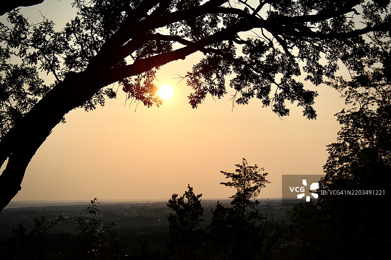 橙色天空下的树木剪影，伊利诺伊州加莱纳，美国图片素材