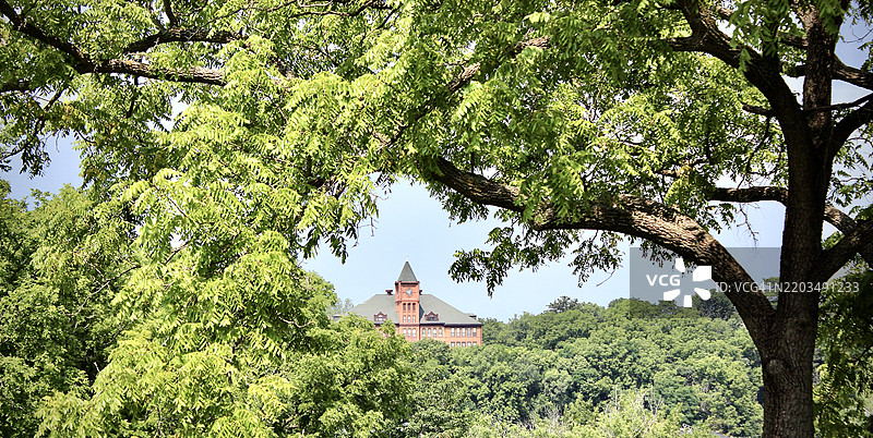 低角度视图的树木和建筑物与天空，伊利诺伊州加莱纳，美国图片素材
