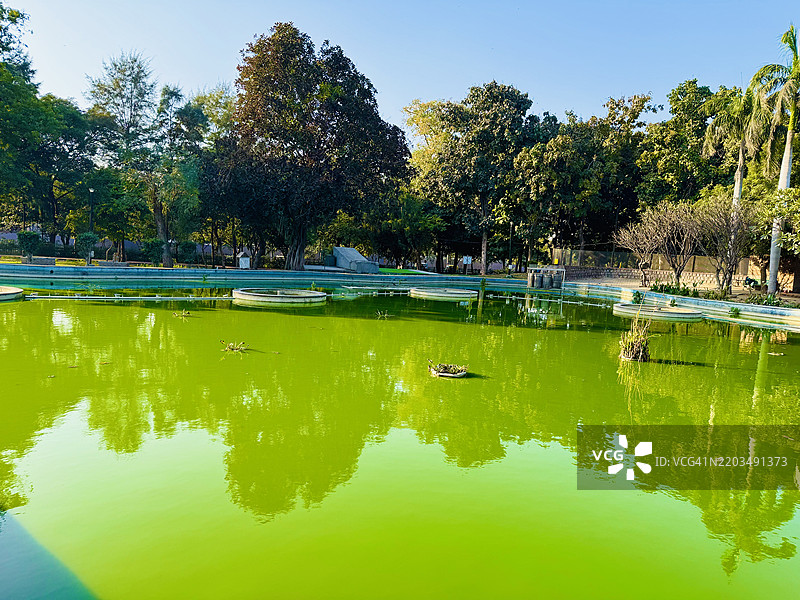 印度湖边树木与天空的美丽景色图片素材