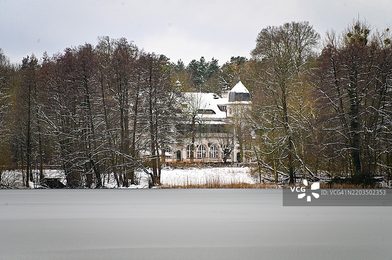 雪覆盖的田野上树木与天空相映成趣图片素材