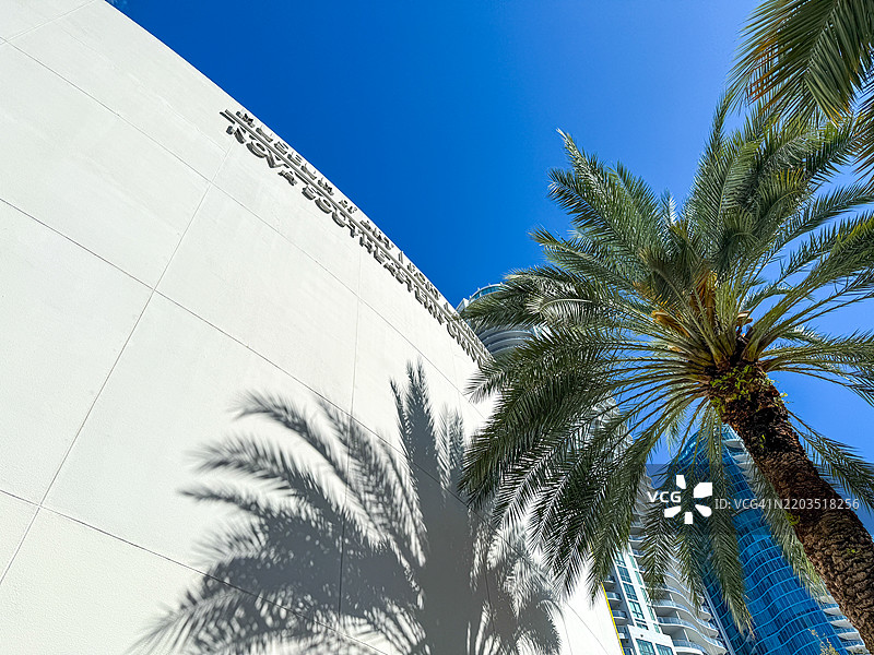 棕榈树在NSU艺术博物馆（劳德代尔堡）的现代主义弯曲白墙外。图片素材