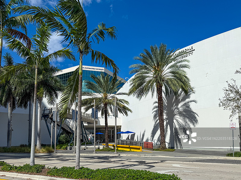 棕榈树位于NSU艺术博物馆劳德代尔堡现代主义弯曲白墙的入口外。图片素材