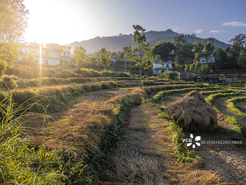 马纳卡曼娜，东安纳普尔纳，喜马拉雅山脉，尼泊尔图片素材