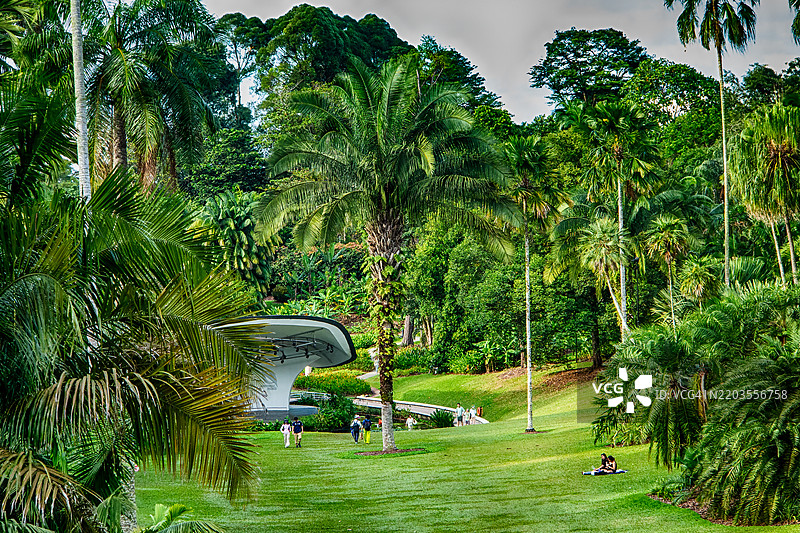 新加坡，植物园图片素材