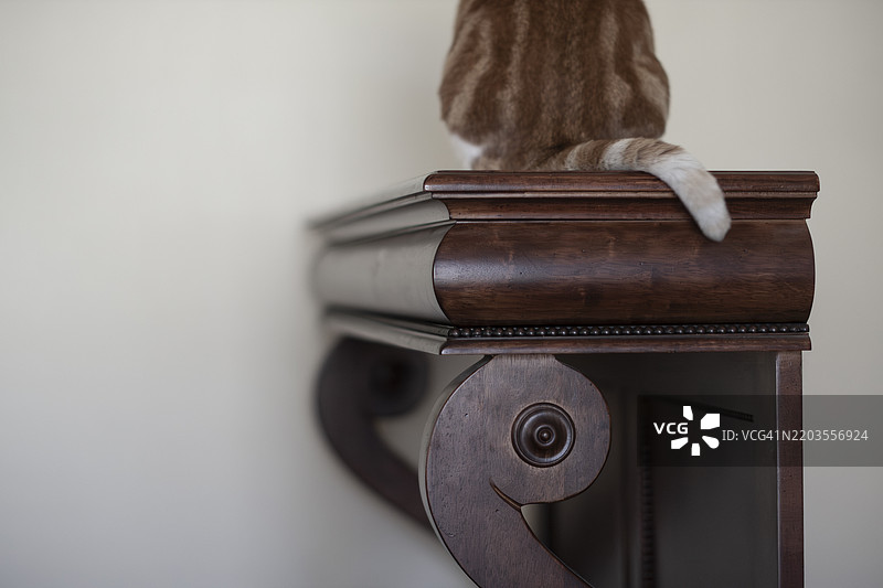 跟随提示图片素材