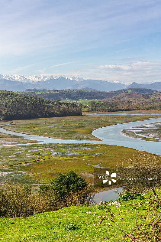 圣文森特湿地的景观图片素材