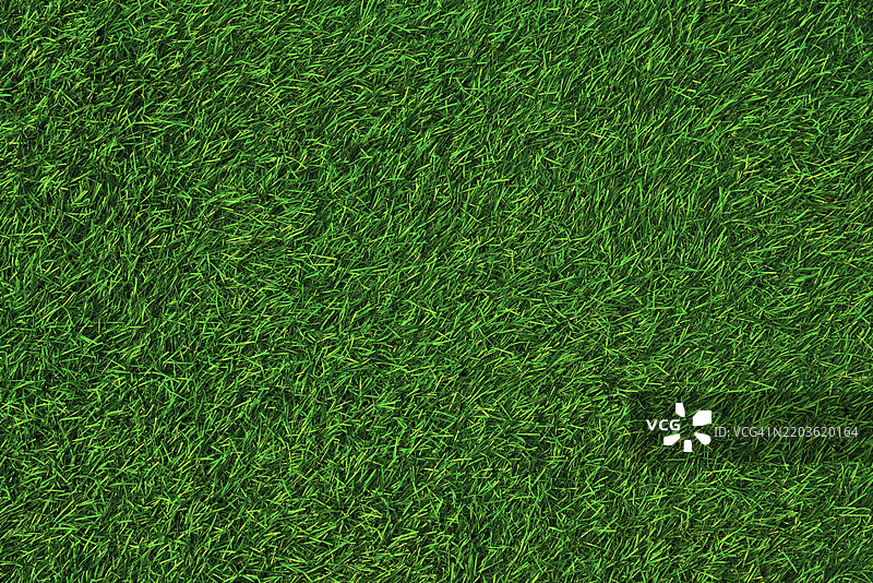 草地或草坪纹理的全景拍摄图片素材