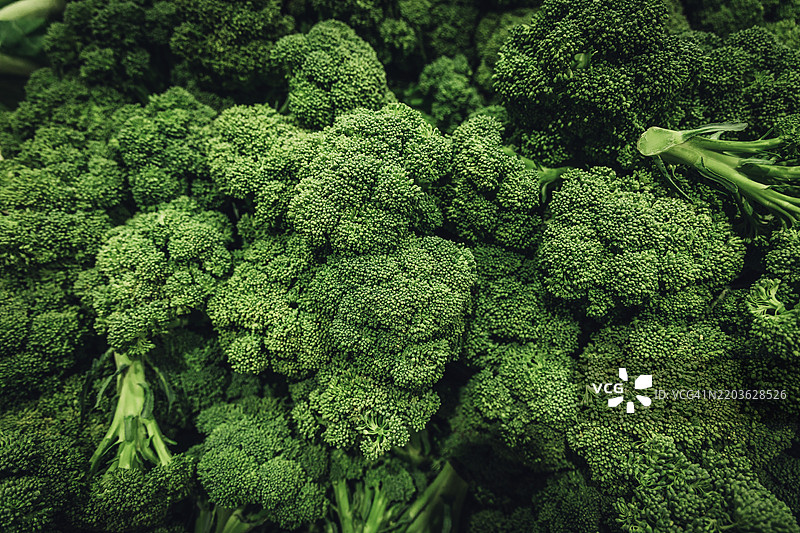 西兰花特写图片素材