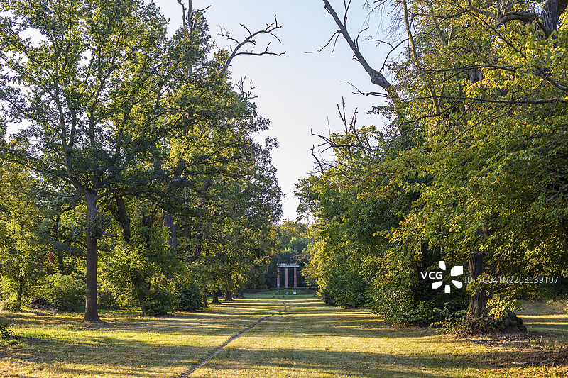 艾特拉的人工特里亚农废墟和古老的椴树大道（椴树），位于德国萨克森州莱比锡新湖区的兹温考湖自然保护区。图片素材