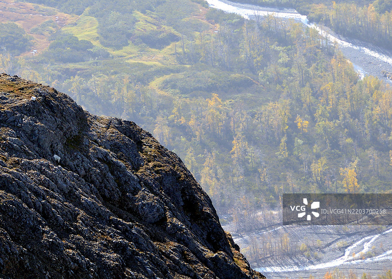 阿拉斯加科迪亚克国家野生动物保护区山顶上的山羊图片素材