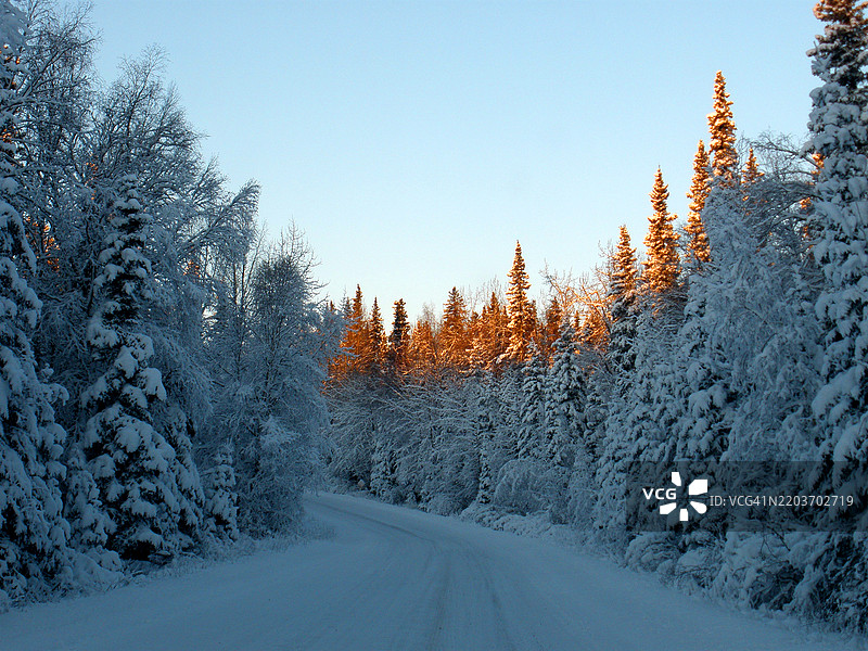 阿拉斯加基奈国家野生动物保护区日出时被雪覆盖的树木和道路图片素材