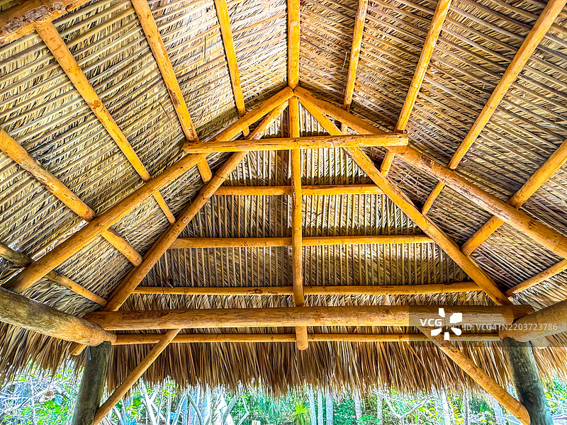 博内特庄园的乡村树枝长椅和茅草屋顶凉亭，位于劳德代尔堡图片素材