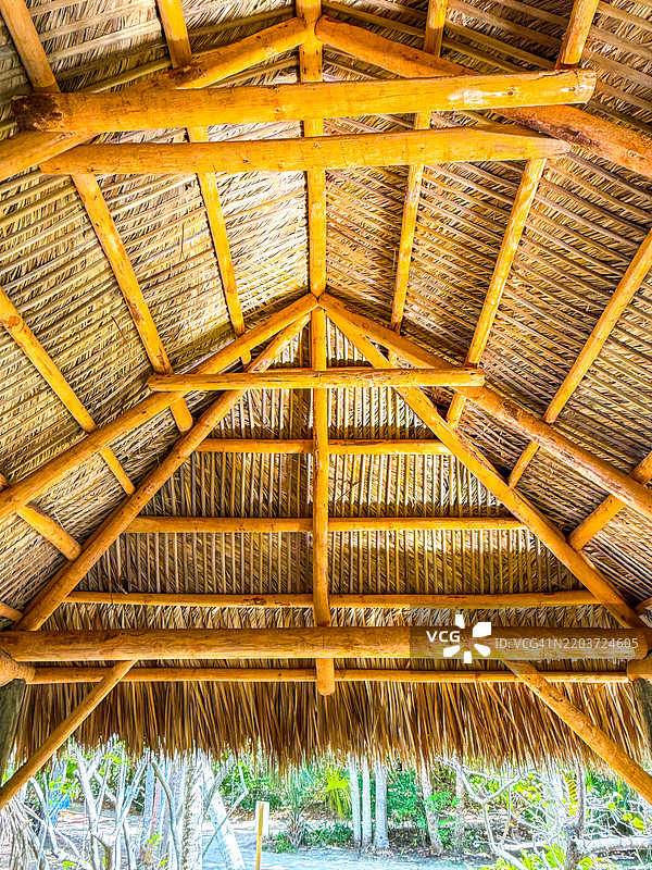 博内特庄园的乡村树枝长椅和茅草屋顶凉亭，位于劳德代尔堡图片素材