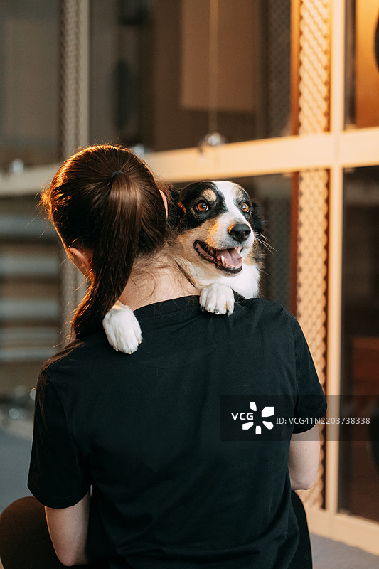 兽医在兽医诊所里抱着一只快乐的边境牧羊犬。图片素材