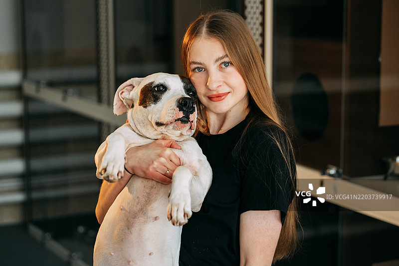 兽医在兽医诊所抱着一只友好的比特犬图片素材