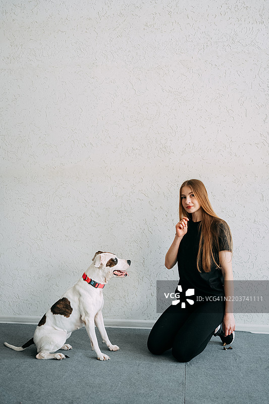 年轻女性在室内训练她的狗图片素材