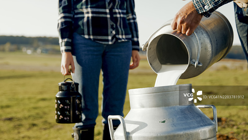 农民在阳光明媚的奶牛场倒新鲜牛奶图片素材