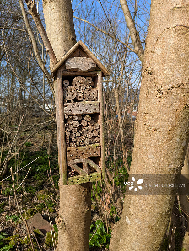 虫子旅馆图片素材