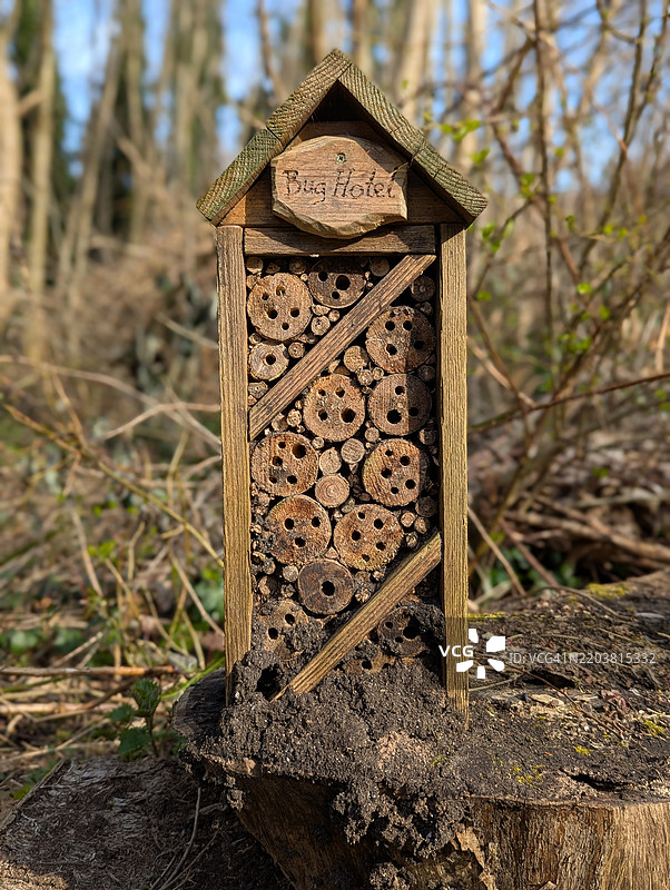 虫子旅馆图片素材