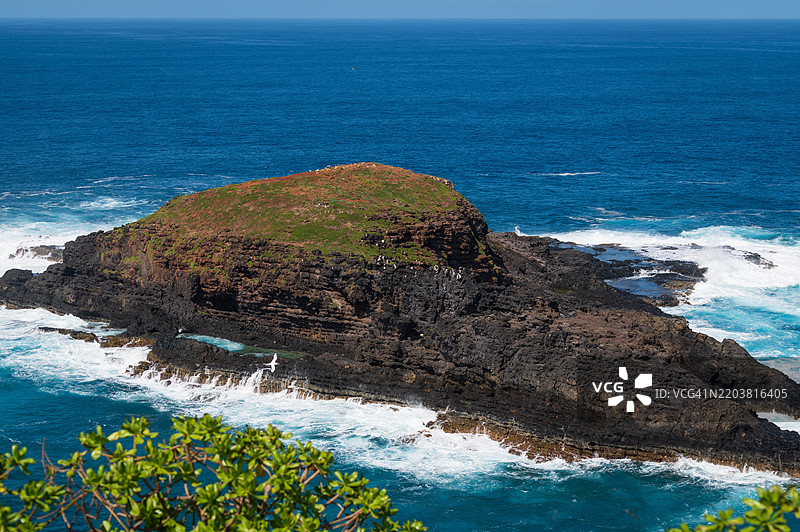 位于考艾岛最北端的基拉韦厄角国家野生动物保护区拥有夏威夷最大的海鸟繁殖种群之一。图片素材