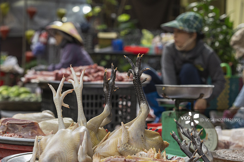 越南会安市场出售的鸡。图片素材