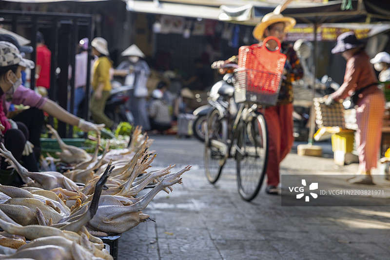 越南会安市场出售的鸡。图片素材