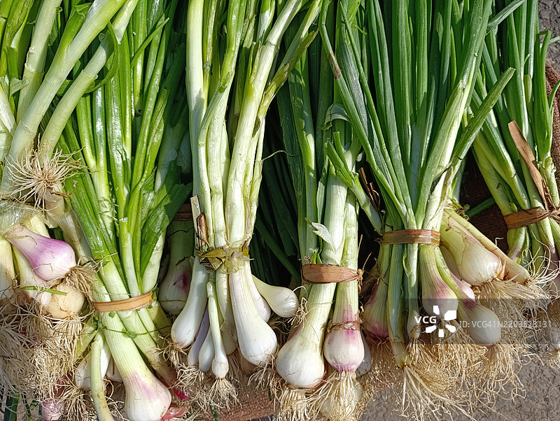 冬季水果和蔬菜市场的带球葱束图片素材