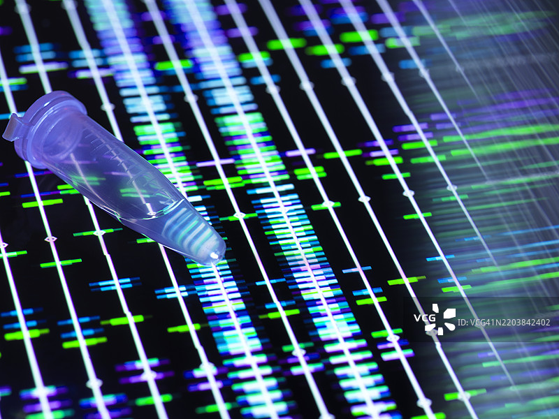 计算机屏幕上显示的DNA样本和遗传数据图片素材