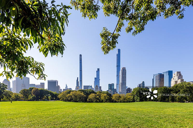 中央公园的“羊草地”和曼哈顿天际线，纽约市，美国图片素材