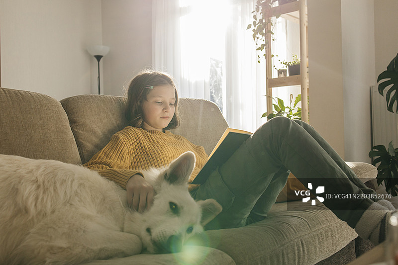 女孩在家里的沙发上看书并抚摸狗狗图片素材