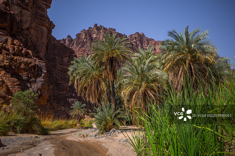 瓦迪阿尔迪萨图片素材