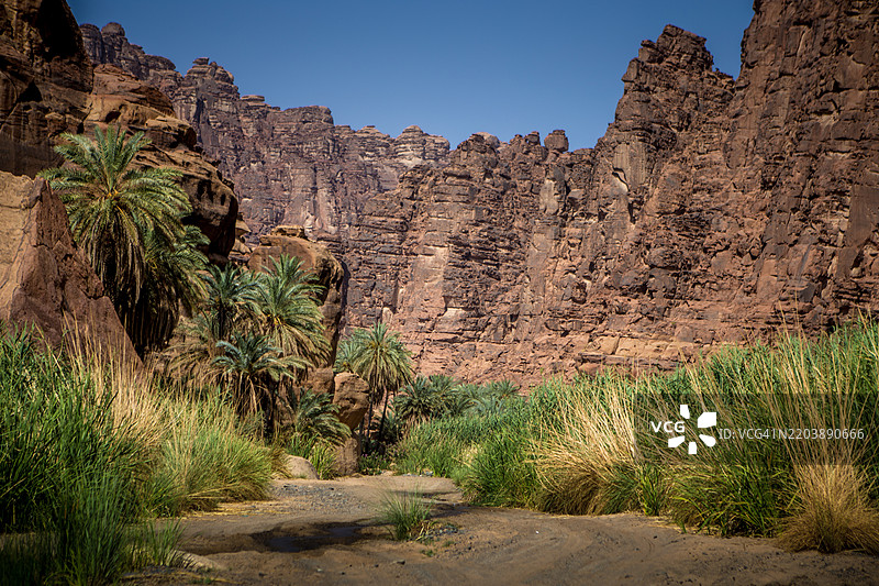 瓦迪阿尔迪萨图片素材