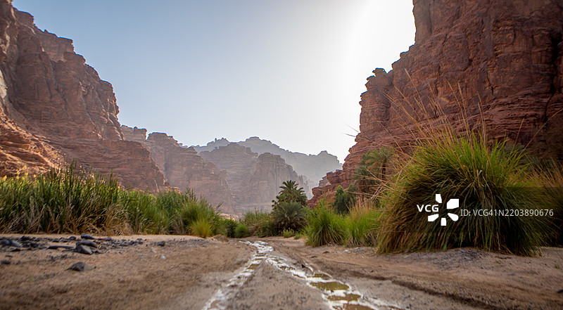 瓦迪阿尔迪萨图片素材